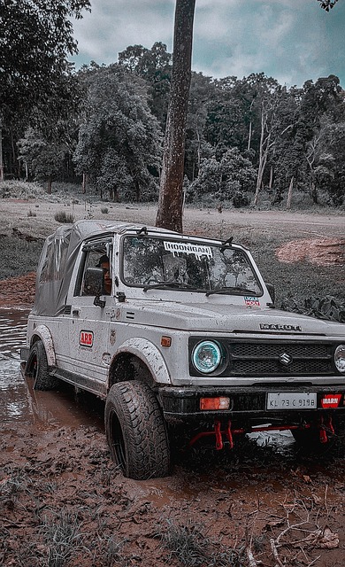 可能再次迎 可能再次迎